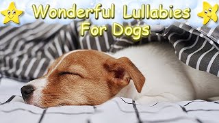 Super Relaxing Sleep Music For Jack Russell Terriers ♫ Relax Your Dog ♥ Lullaby For Puppies And Pets