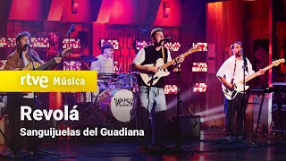 Sanguijuelas Del Guadiana - Revolá La Revuelta - 2025