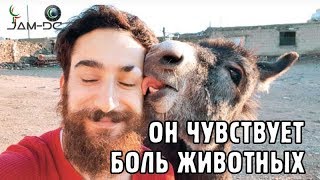 Турецкий мусульманин делает протезы для травмированных животных Турецкий мусульманин делает протезы для травмированных животных