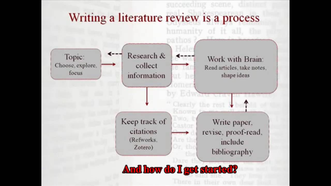 subtopics in literature review