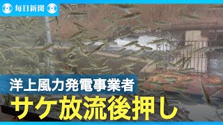 洋上風力発電事業者が後押し　サケ3000匹放流、回帰祈願