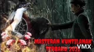 Masteran Kuntilanak - BERKELAS #masterankuntilanak #masterancendet #gerejatarung #cendet