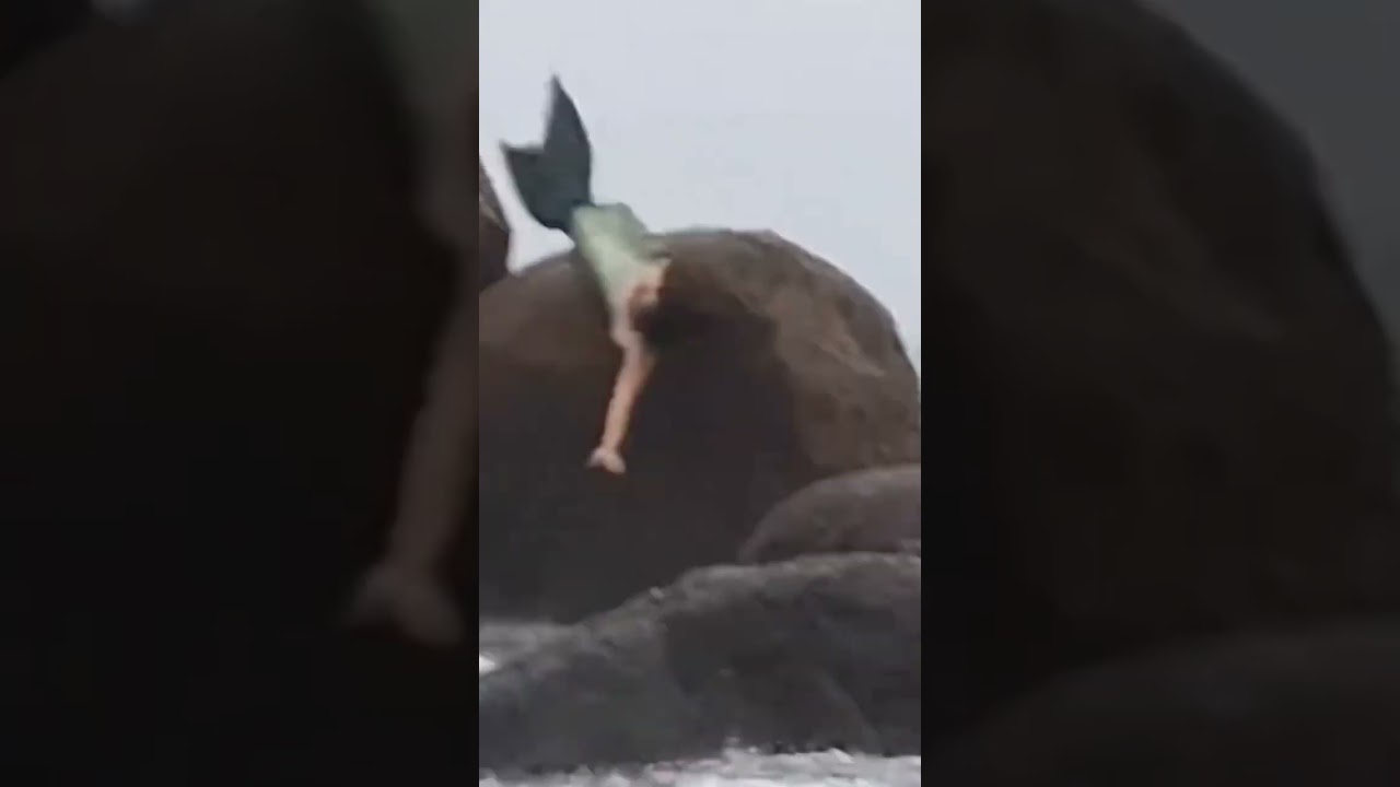 Does a mermaid exist??🧜‍♀️