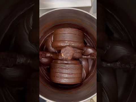 Learn about cacao