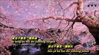 Video thumbnail of "愛與哀愁   Ai Yu Ai Chou"