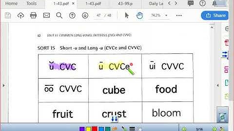 Yellow Group Sort 15