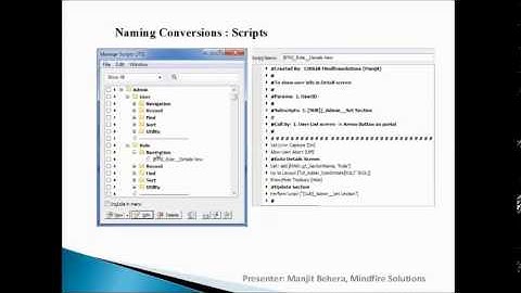 FileMaker Coding Standards and Management Best Practices