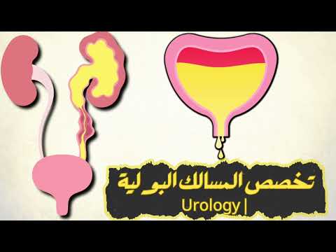 تخصص جراحة المسالك البولية  هل تخصص المسالك مربح