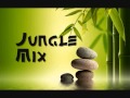 Old Skool Jungle Mix 1993 to 1997