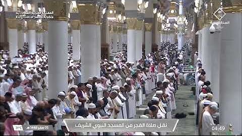 ' سورة التوبة ٦٤ - ٧٣ ' الشيخ #عبدالمحسن_القاسم صلاة الفجر ٥-٢-١٤٤٦ هـ