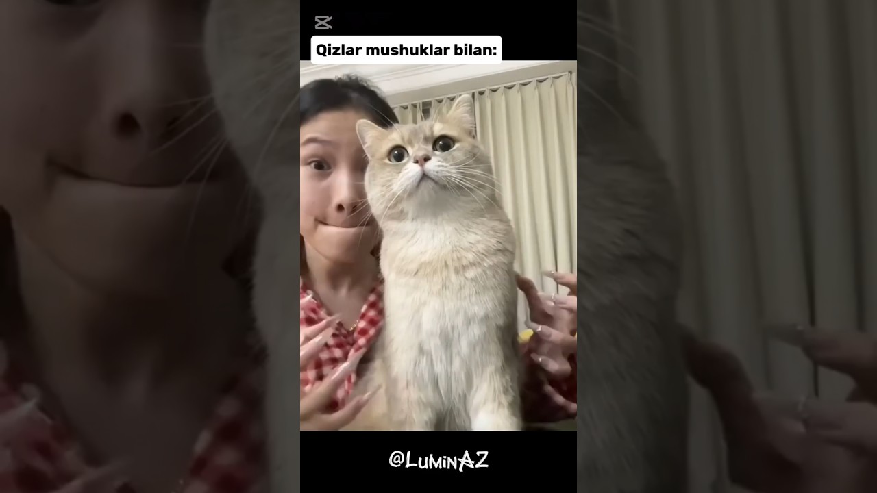 Tungi dude porno jinsiy aloqa Ayollar orgazmini oz ichiga olgan mobil porno