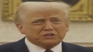 Trump Returns (YTP)