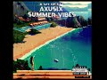 Axuslx  summer vibes  album summer vibes 