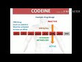 Pharmacologie - 2 ème cours : Les antalgiques