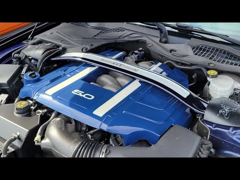 Can You Paint Plastic Engine Cover