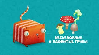 Кот кубокот Обучающий мультик для детей серия 82 Про царство грибов