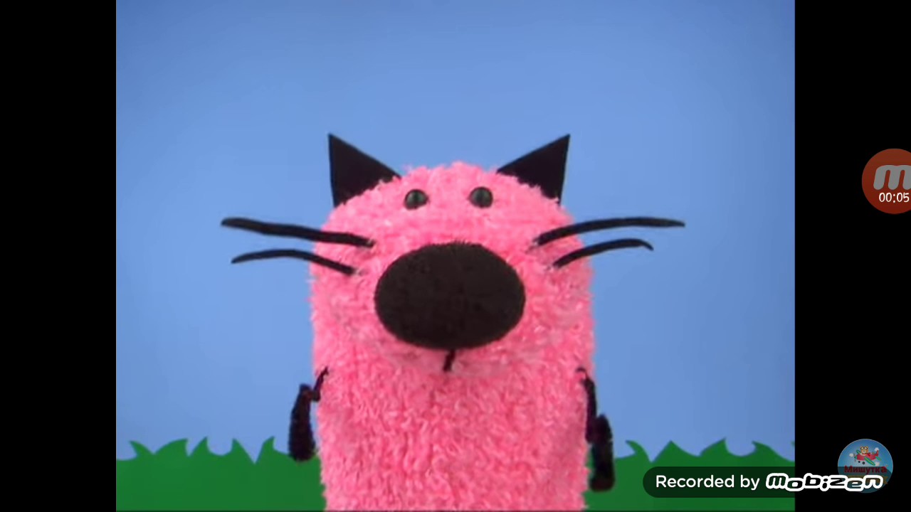 Curious Buddies Cat - YouTube