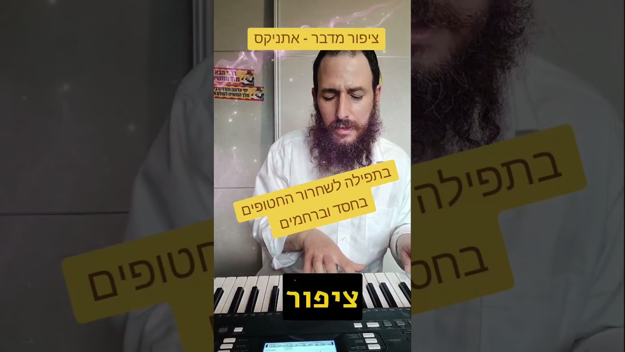 מחר הם משתחררים 🕊️ שיר תפילה לחופש ולתקווה #אתניקס #bringthemhome #idf