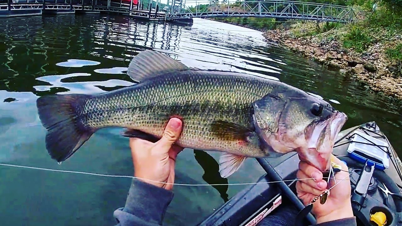 BIG BASS, EARLY FALL BASS FISHING