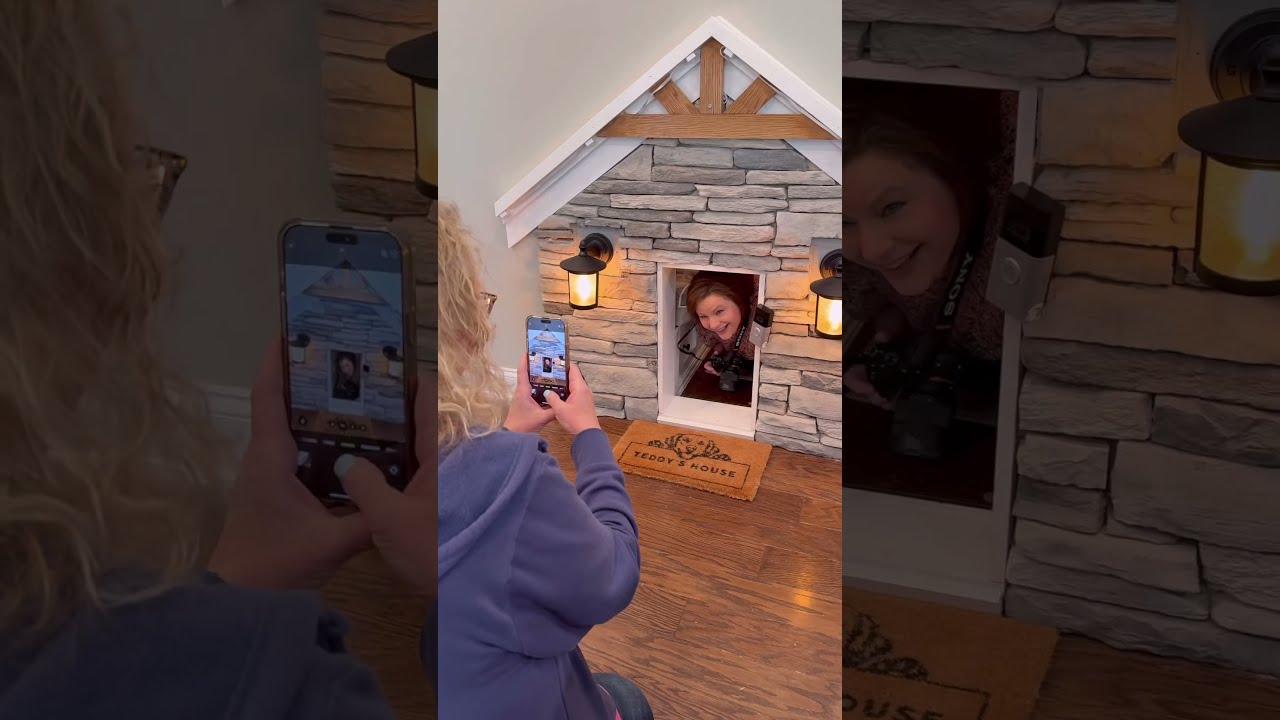 My Dog Started House Tours For His Doghouse 
