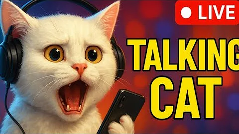 Video 11697661: talking tom cat, cat playing talking