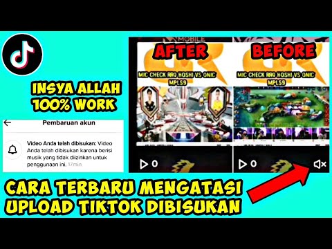 Video: Telah diredam maksudnya?