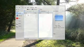 dolphin symlink