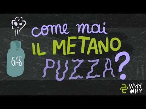 Video: Perché Il Gas Puzza?