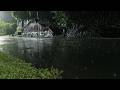Soothing Rain Sounds on a Quiet Road at Night with Peaceful Nature Ambience