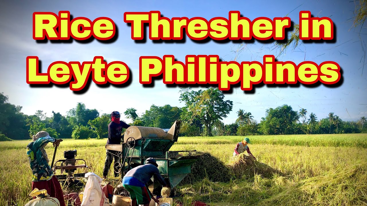Leyte Rice Rice Thresher in Leyte, Philippines - YouTube