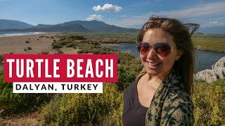 Turkey's Turtle Beach + Pide 'Turkish Pizza' | Dalyan | Full Time World Travel Vlog 4