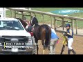 PETA Exclusive: Extended footage of 3-year-old Vino Subito's catastrophic fatal injury