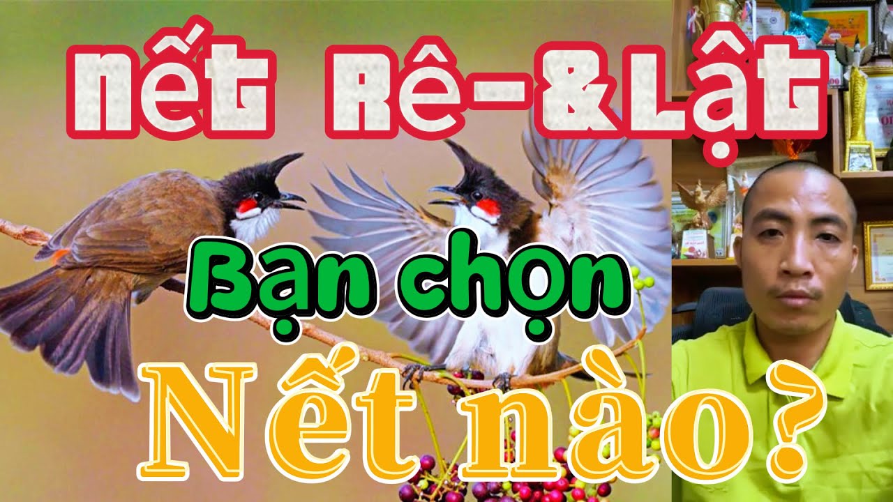 Chào mào Nết Lật và Rê cầu thì Nết nào là đi Sâu trong các cuộc thi?