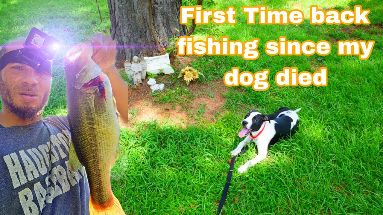 BASS FISHING DURING THE DOG DAYS OF SUMMER