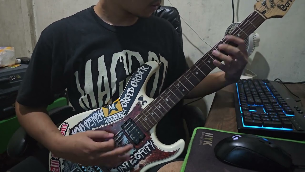 Crush Your Soul - SHADOW WITHOUT THE DARK (Guitar Cover)