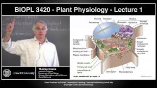 BIOPL3420 - Plant Physiology - Lecture 1