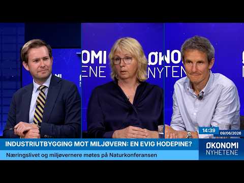 Industriutbygging mot miljøvern: En evig hodepine?