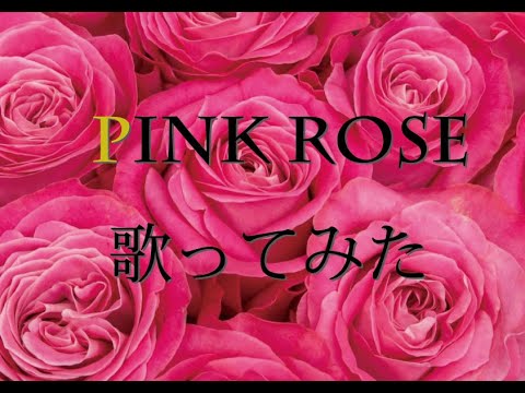 Pink Rose｣kiyommy+Seiya 歌ってみた(cover) 「KONAMI アーケード
