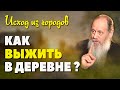 Как прокормить себя на земле? (о. Владимир Головин)