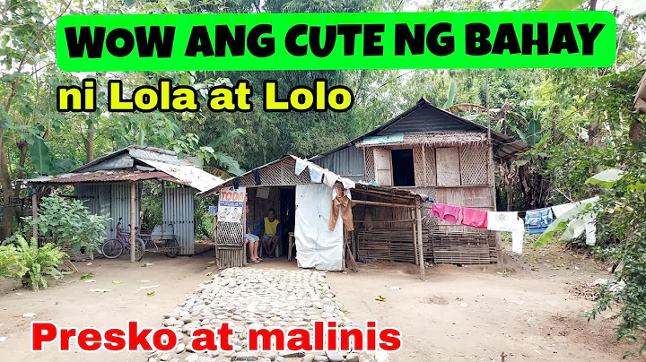 SIMPLENG BUHAY SA PROBINSYA | Talong pinitas para ...