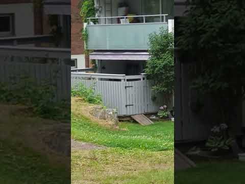 Норвегия. Осло. Нижние этажи домов. 31.07.25.#norway #oslo #taun #город