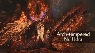 Monster Hunter Wilds — Arch-Tempered Nu Udra Hunt (Switch Axe)