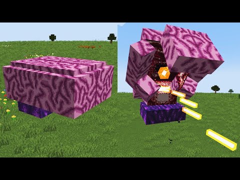 Brainium