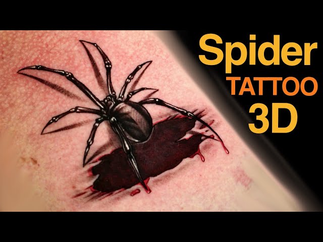 3D spider | hautedraws