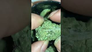 Pie Crush flower strain opening. Organic Remedies Enola pa Dry as Dry