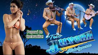 Miniatura de vídeo de "Popurrí de Quebraditas - Trio Juvenil Hidalguense"