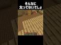 そんなに太ってないでしょ🍖 #マイクラ #マインクラフト #minecraft #shorts