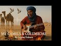 Soulful Tuareg Music My Camel Columbidae Tuareg Desert Blues Legend Sahara أسطورة صحراء