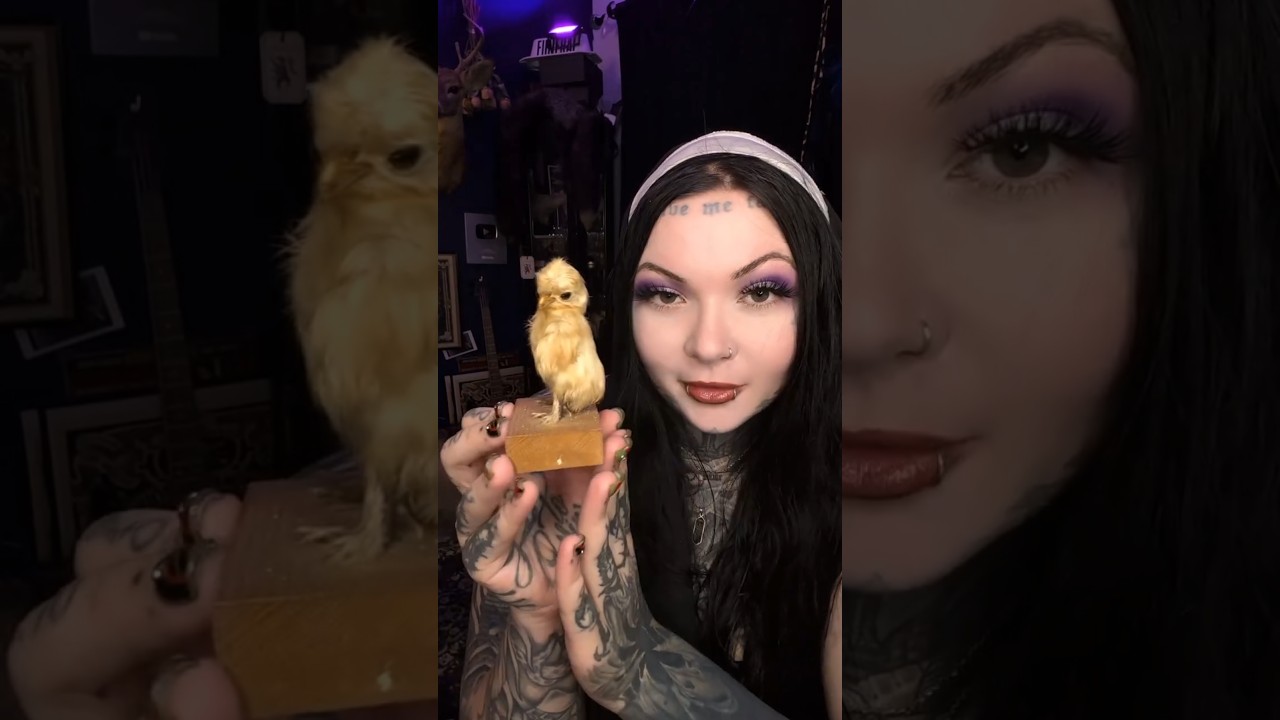 Oddities & Curiosities I Own