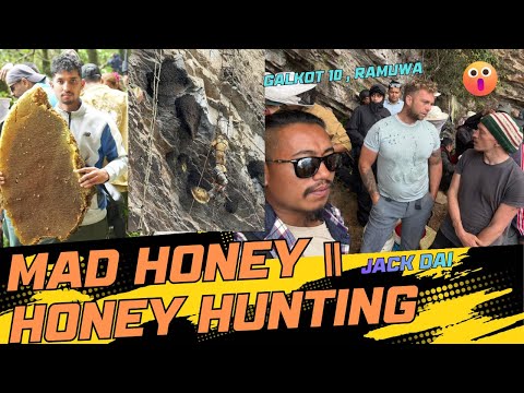 Mad Honey ॥Honey Hunting In Galkot 10 , Ramuwa Baglung  Nepal ॥ डरलाग्दो भिरमा मह शिकार ॥